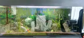 aquarium 240 litres