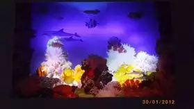 cadre aquarium