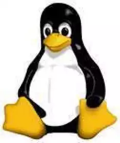 Initiation informatique sous Linux