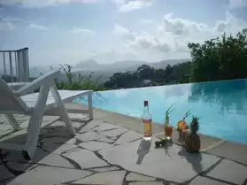 Martinique, villa avec piscine, Ste Luce