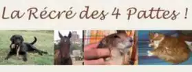 Petites annonces gratuites 41 Loir et Cher - Marche.fr