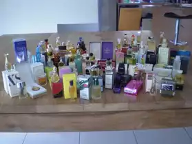 Collection de miniatures de parfums