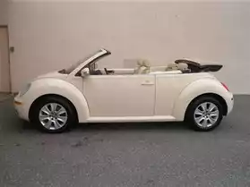 Volkswagen New Beetle cabriolet 1.6 cara