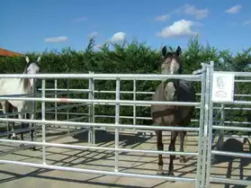 clôtures pour chevaux