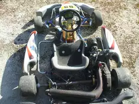 karting 125 rotax max