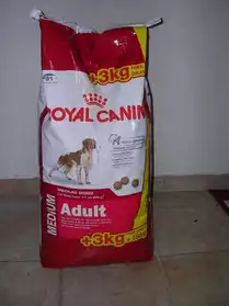 croquettes royal canin