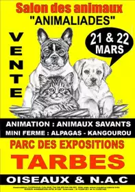 Petites annonces gratuites 65 Haute Pyrénées - Marche.fr