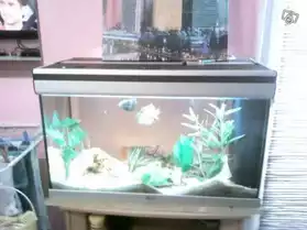 aquarium complet