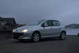 Peugeot 307 1,6HDi 5p