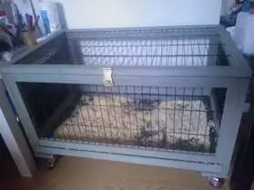 Cage pour furets et rats