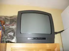 télévision 40 cm
