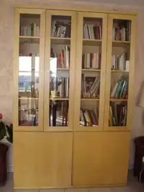 meuble tv +bibliothèque