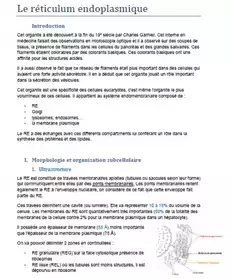 Petites annonces gratuites 35 Ille et Vilaine - Marche.fr