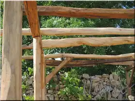 Pergola en bois ancien