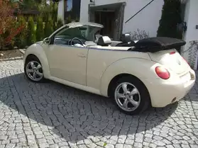 Volkswagen Beetle 1.4