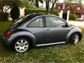Volkswagen New Beetle tdi 100 carat