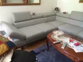 Canapé en cuir gris