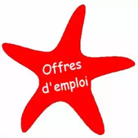 Aide ménager (H/F)