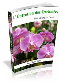 Guide d'Entretien Des Orchidées