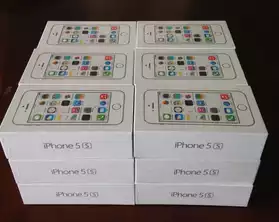 Apple iPhone 5s (modèle le plus récent)