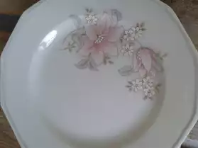 Service de table Porcelaine de Limoges