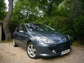 Peugeot 307 année 2006