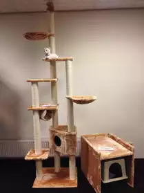 Arbre à chat Cat Ceiling - 350+ modèles