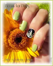 Manucure - Nail Art - Faux Ongles