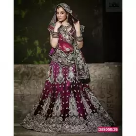 Sari de mariage indien haut de gamme