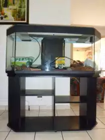 Aquarium 240L + meuble
