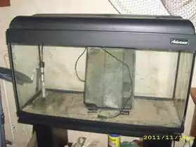 aquarium 100 litres