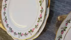 Lot de vaisselles en Porcelaine