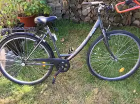 vélo pour adulte