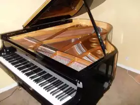 Piano SAUTER modele "delta" 1,85m noir