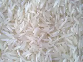 Recherche un fournisseur de riz