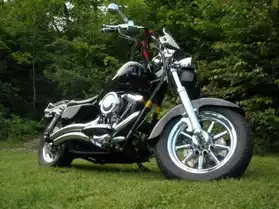 Impécable moto Harley Davidson