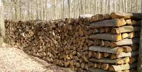 stock de bois chauffage
