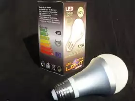 Ampoule E27 LED 5,5W