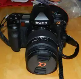 Sony a850 24.6meg 28-75mm 2.8