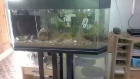 aquarium350litre
