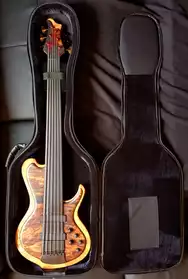 Custom hand made Fretless 6 -String Bass