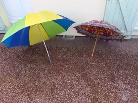Lot de 2 parapluies homme / femme