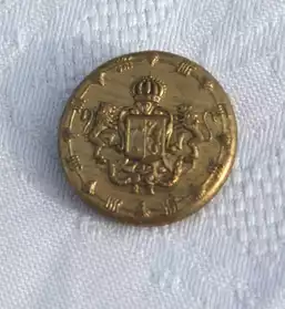1 boutons ancien doré armoirie