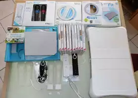 Console Wii TBE + nombreux accessoires