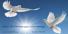 mariage et lâcher de colombes .