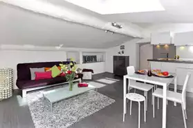 Duplex lumineux, rénové et meublé de 30m