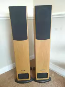 Pair of PMC FB1 Floor-Standing Speakers