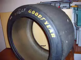 pneus formule1