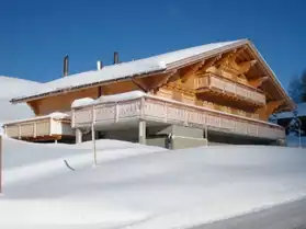 Ski Suisse - Les Mosses appart. 5 pièces