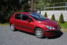 Peugeot 307 1.6 2001